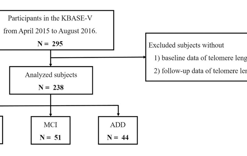 Figure 1. Flowchart of the analyzed subjects.
