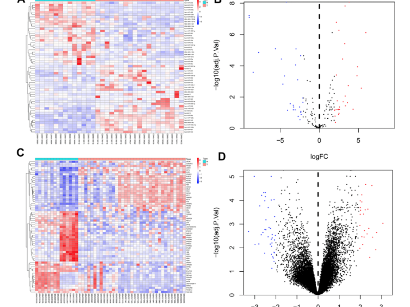 Figure 1. Heat map and volcano map of differentially expressed genes of GSE81873 and GSE27651.