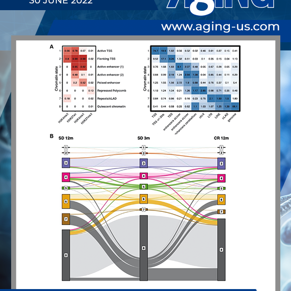 Aging V14 N12