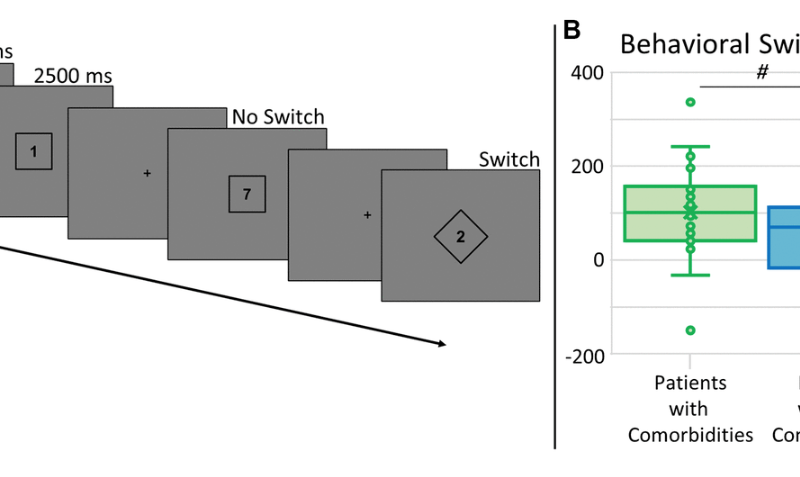 Differential impact of glycemic control and comorbid conditions on the neurophysiology underlying task switching in older adults with type 2 diabetes