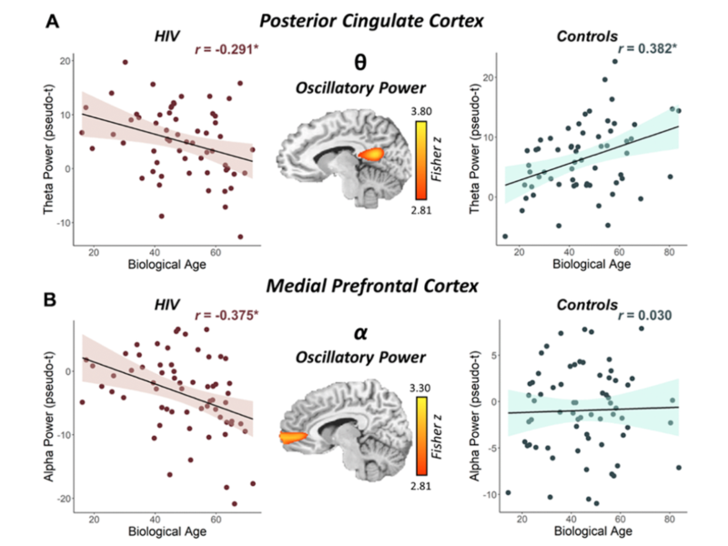 Figure 3. Interaction between biological age and HIV status on the posterior cingulate theta response and the medial prefrontal cortex alpha response.