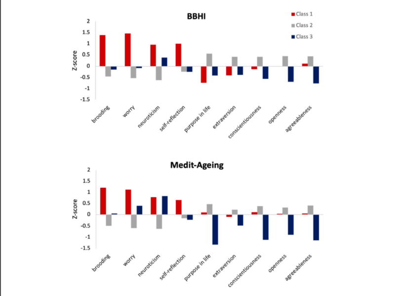 Figure 1. Results from a latent profile analysis (LPA) in two independent European cohorts: the middle-aged Barcelona Brain Health Initiative (BBHI, N=741, mean age 53) and the older-adult Medit-Ageing (N=279, mean age 71) studies.