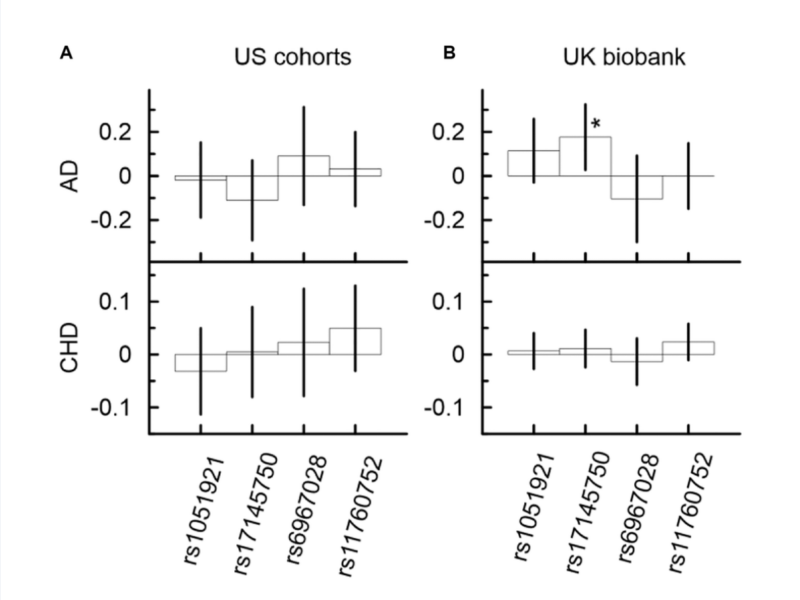 Figure 2. Univariate associations of minor alleles of four SNPs from the MLXIPL gene with AD and CHD in two samples drawn from US cohorts (A) and UK biobank (B).