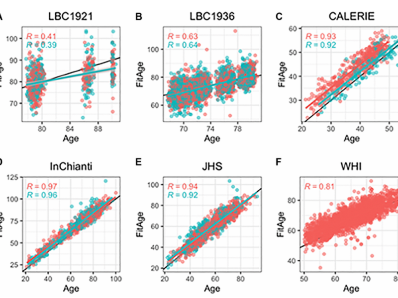 Figure 2. Scatterplots of DNAmFitAge versus age separated by sex.