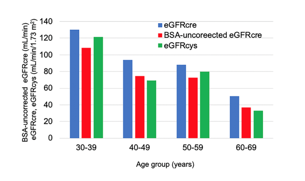 Figure 1. Average renal function in each age group over the entire survey period. The blue bar shows the eGFRcre. The red bar shows the BSA-uncorrected eGFRcre. The green bar shows the eGFRcys.