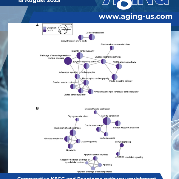 Aging Volume 15, Issue 15