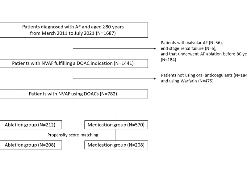 Cardiovascular events and death after catheter ablation in very old patients with nonvalvular atrial fibrillation