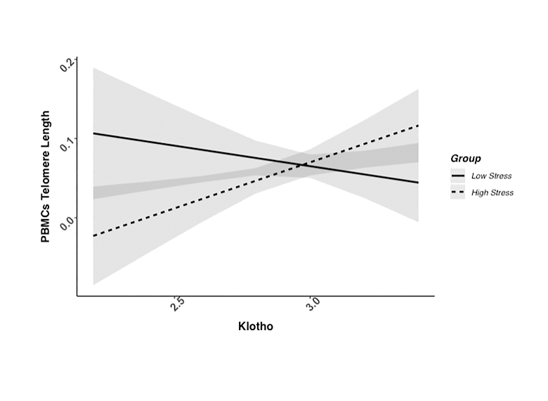 Associations between klotho and telomere biology in high stress caregivers