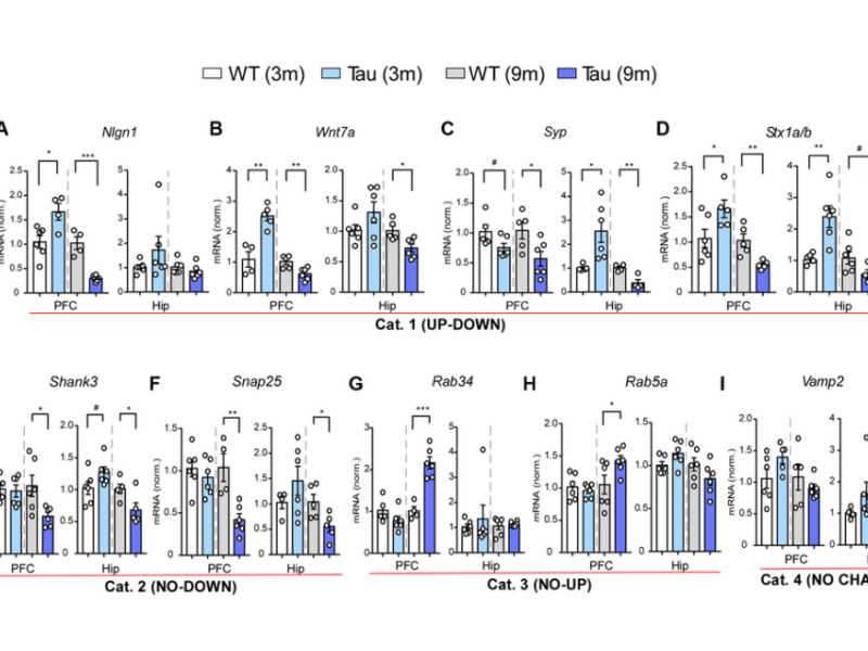 Figure 5. Gene expression profiling revealed various patterns of changes in PFC and hippocampus of P301S mice at different ages. tauopathy