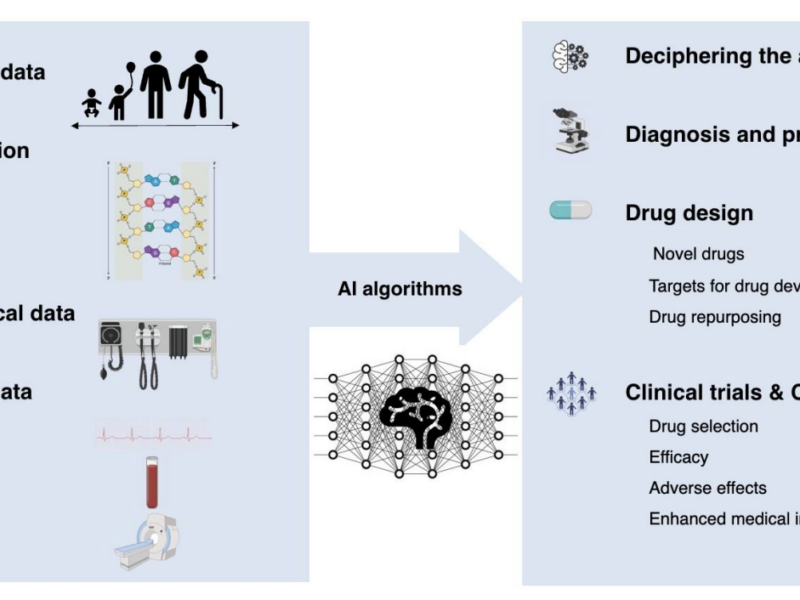 Figure 1. Artificial intelligence for aging research in cancer drug development.