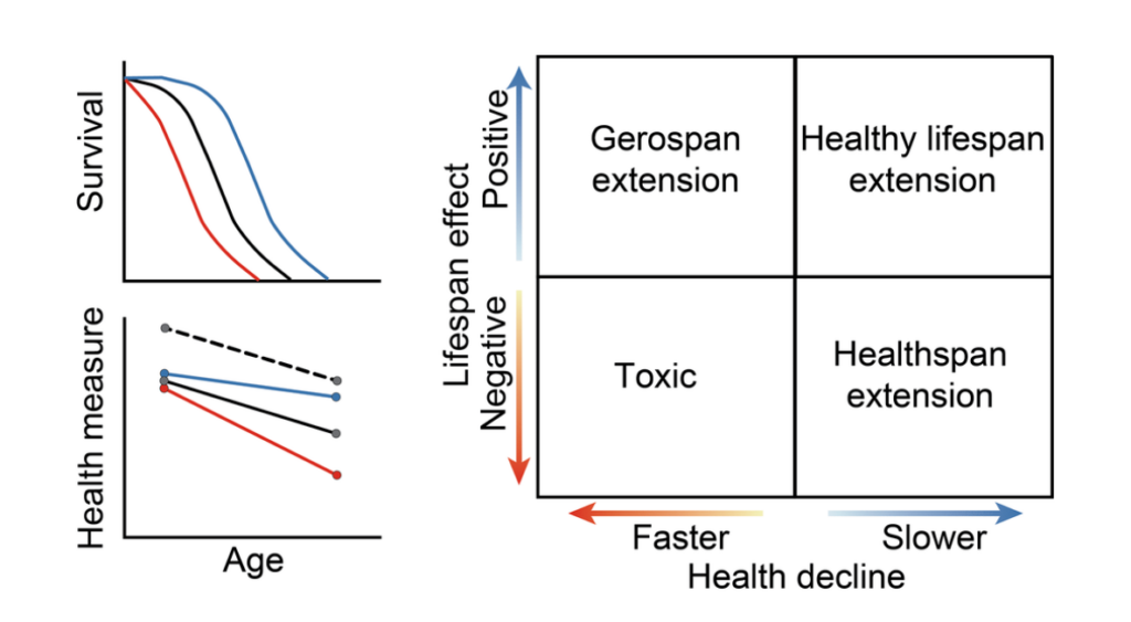 Figure 1. Potential effects of compounds on lifespan and health.