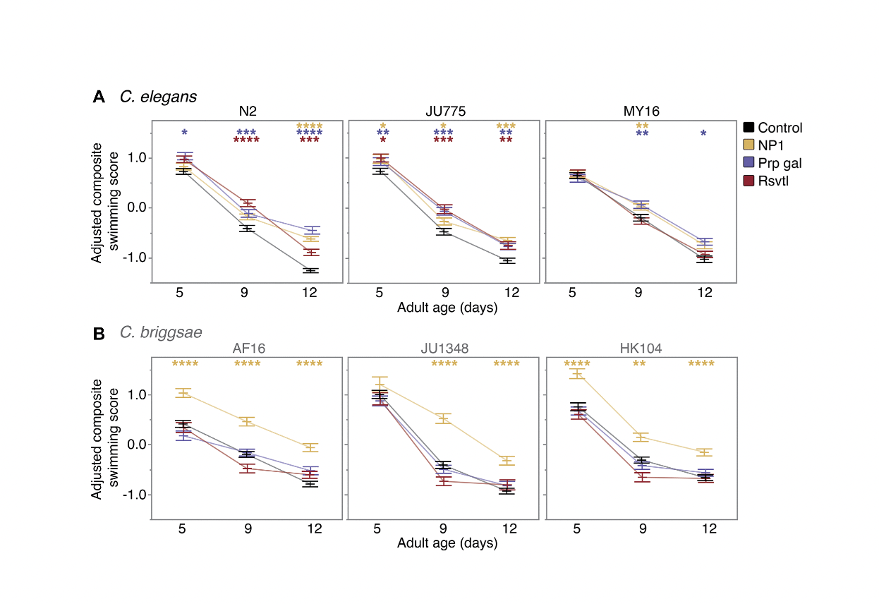 The coupling between healthspan and lifespan in Caenorhabditis depends on complex interactions between compound intervention and genetic background