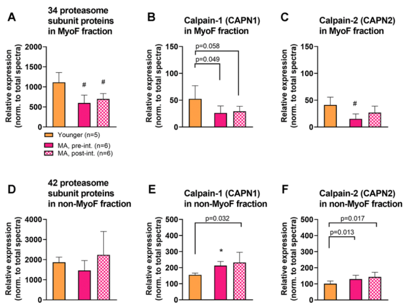 Figure 5. from A novel deep proteomic approach in human skeletal muscle unveils distinct molecular signatures affected by aging and resistance training