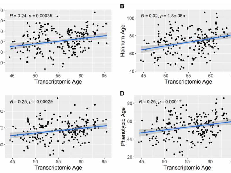 Figure 2. Correlation between transcriptomic age and other epigenetic aging predictors.
