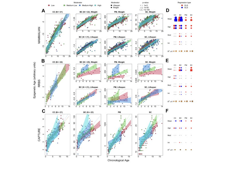 Co-analysis of methylation platforms for signatures of biological aging in the domestic dog reveals previously unexplored confounding factors