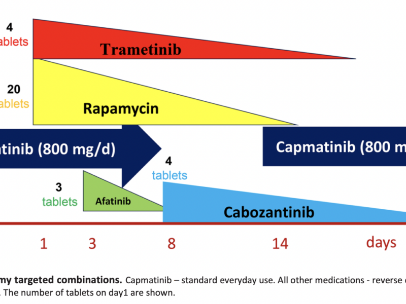 Targeted Cancer Therapy: Initial High Concentration May Slow Down Selection for Resistance