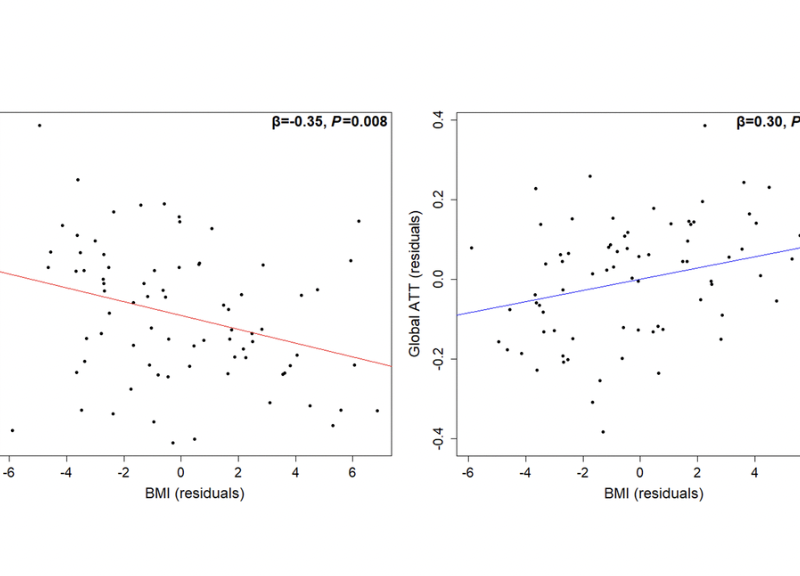 Determinants of cerebral blood flow and arterial transit time in healthy older adults