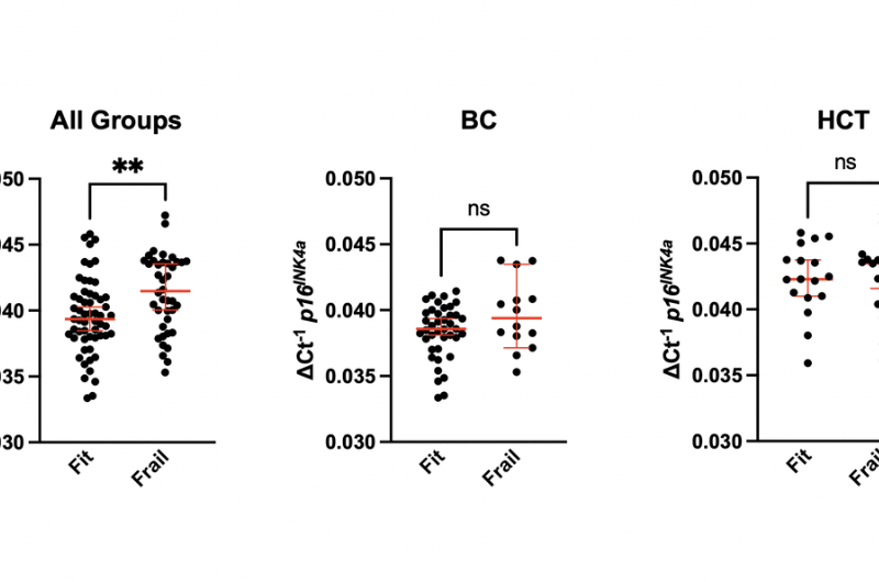 Frailty and pre-frailty associated with long-term diminished physical performance and quality of life in breast cancer and hematopoietic cell transplant survivors