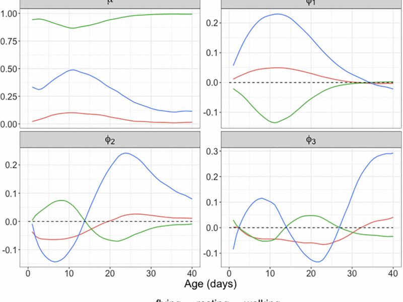 Activity Monitoring and Lifespan: A Longitudinal Study