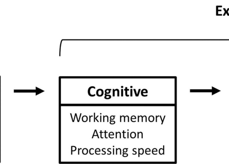 Cerebral Blood Flow and Arterial Transit in Older Adults