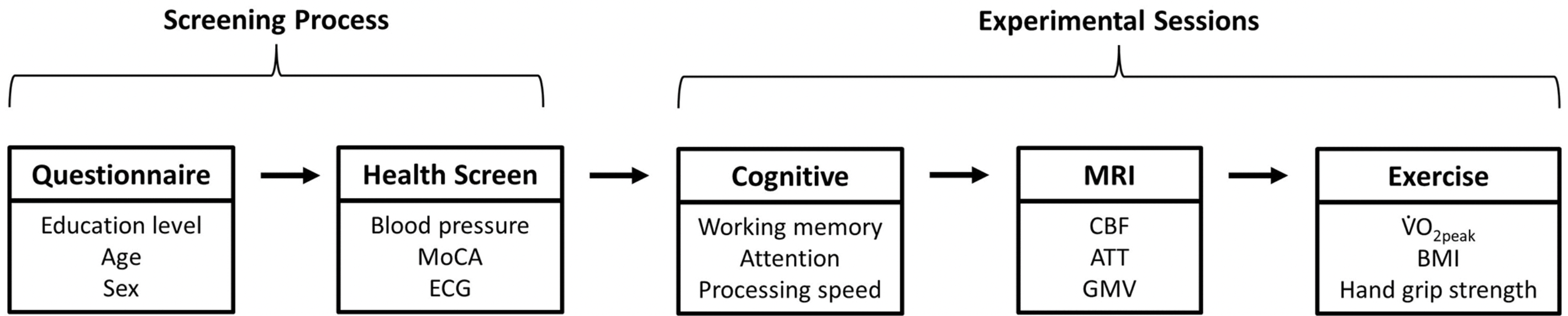 Cerebral Blood Flow and Arterial Transit in Older Adults