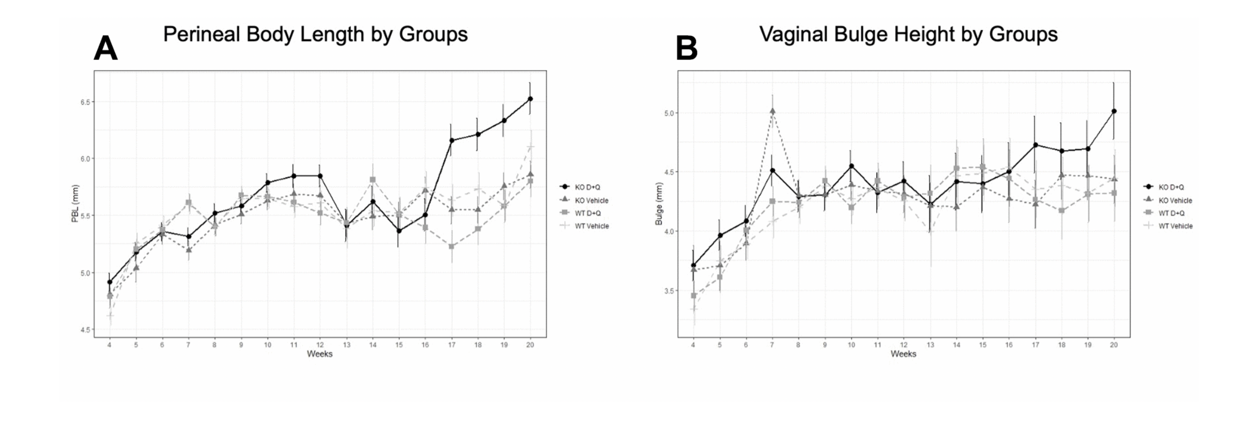 Senolytics Dasatinib and Quercetin for Prevention of Pelvic Organ Prolapse in Mice