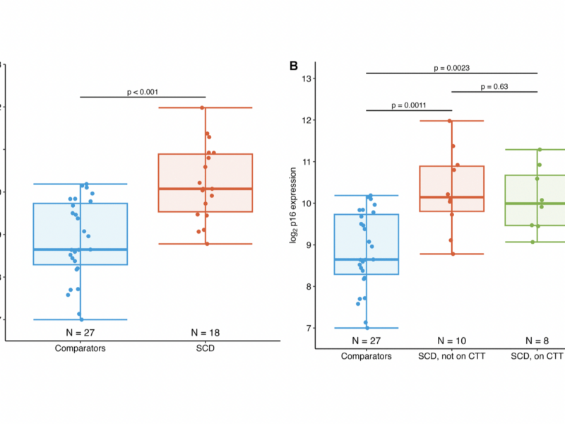 Adolescents and young adults with sickle cell disease exhibit accelerated aging with elevated T-cell p16INK4a expression