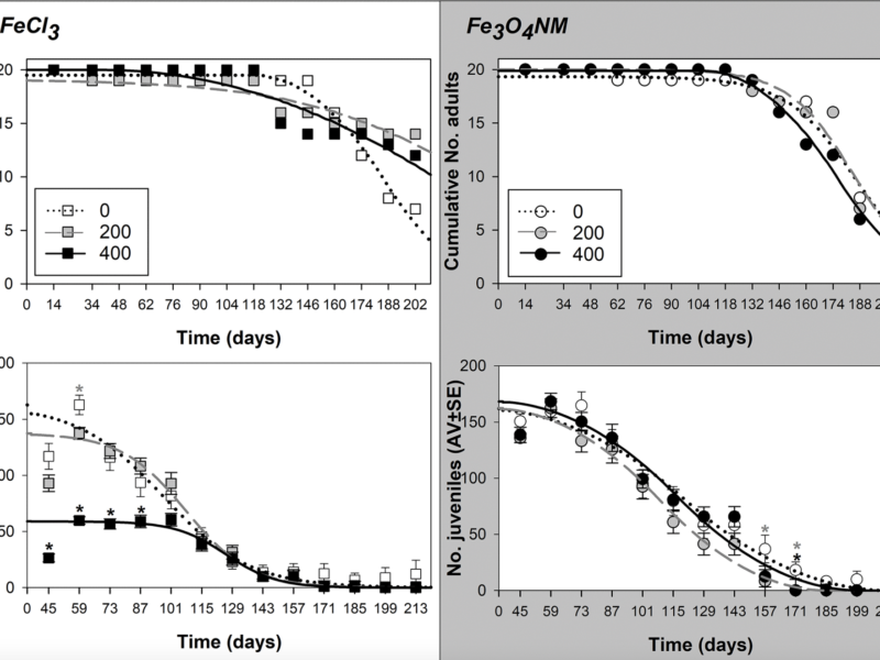 Impact of Iron on Aging in Enchytraeus crypticus