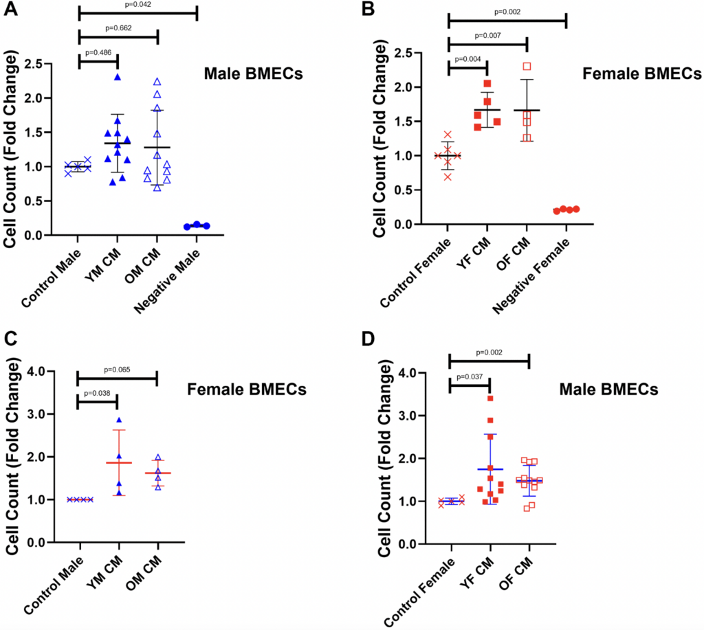 Effects of Megakaryocyte Conditioned Media on Endothelial Cell Angiogenesis