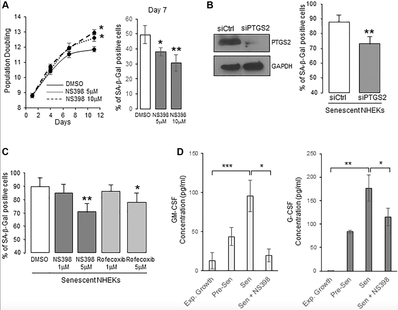 Prostaglandin E2’s Role in Senescence and Neoplastic Escape in Human Keratinocytes