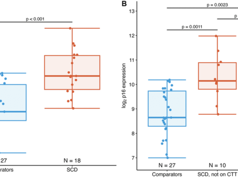 Accelerated Aging in Young Sickle Cell Patients Linked to Elevated T-cell p16INK4a