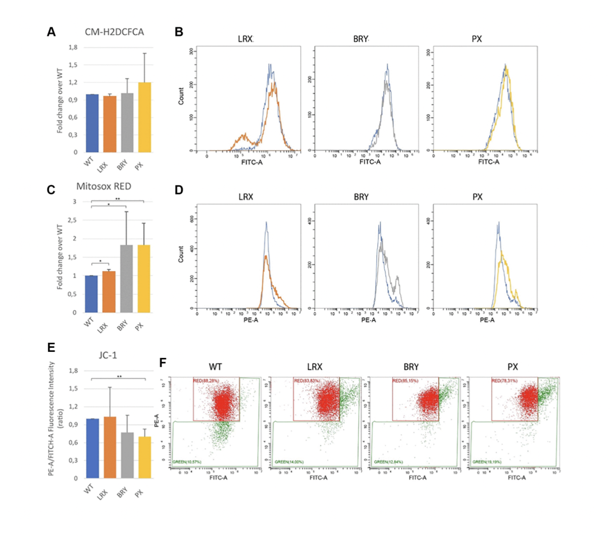 When Do Pathological Signs Appear? Human Mesenchymal Stem Cells in MDPL Syndrome