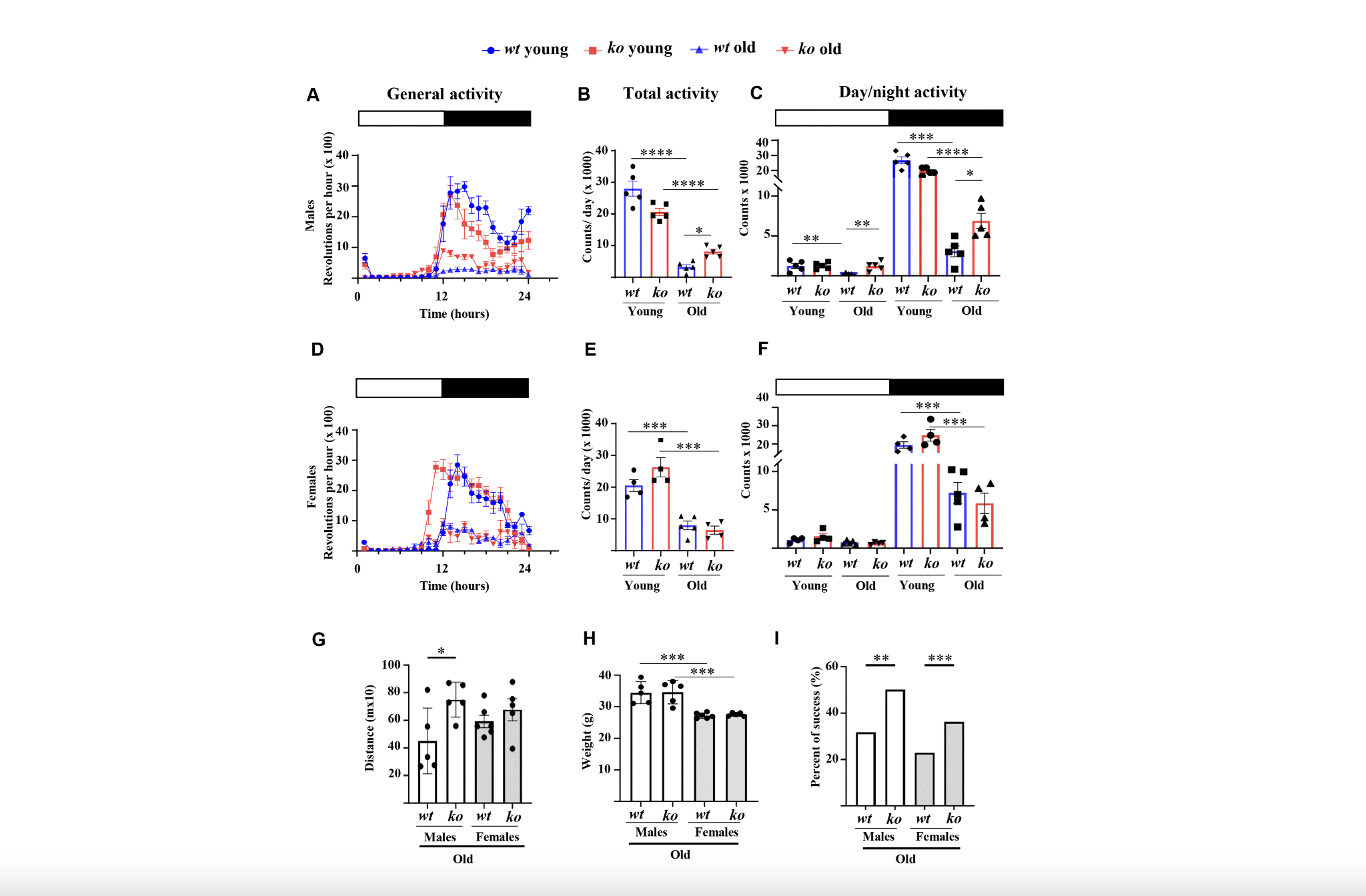 Arginase-II Deficiency Slows Skeletal Muscle Aging in Mice