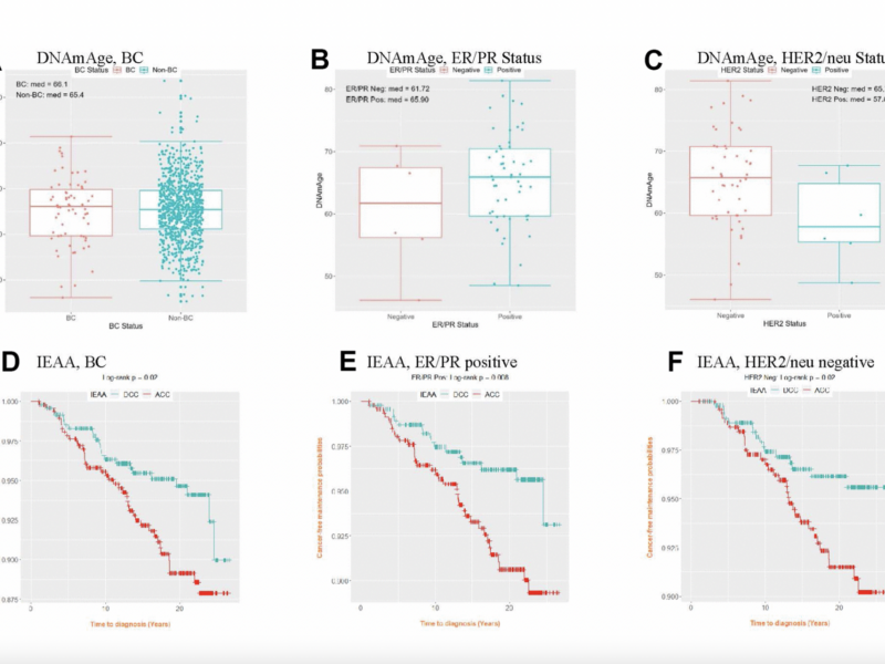 Epigenetic Aging and DNA-Methylation as Tumor Markers for Breast Cancer