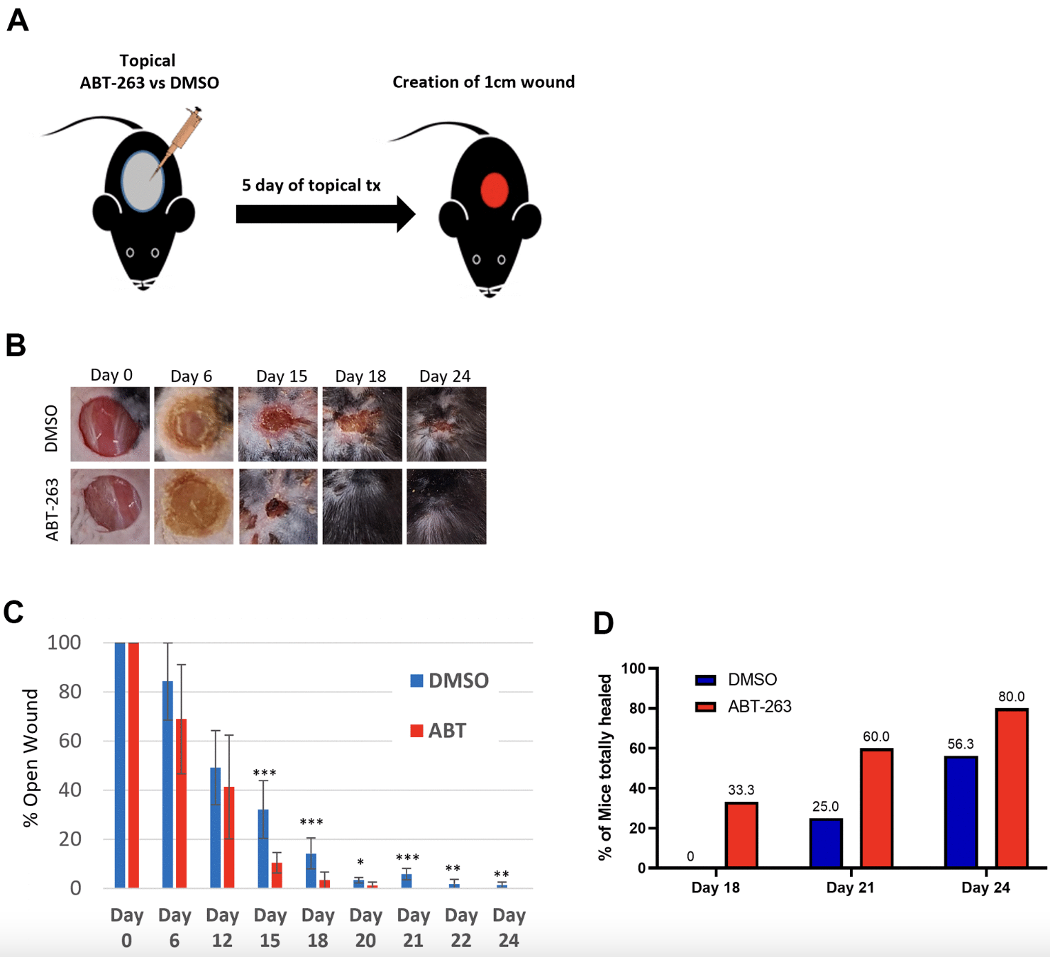 ABT-263 Treatment Rejuvenates Aged Skin and Enhances Wound Healing