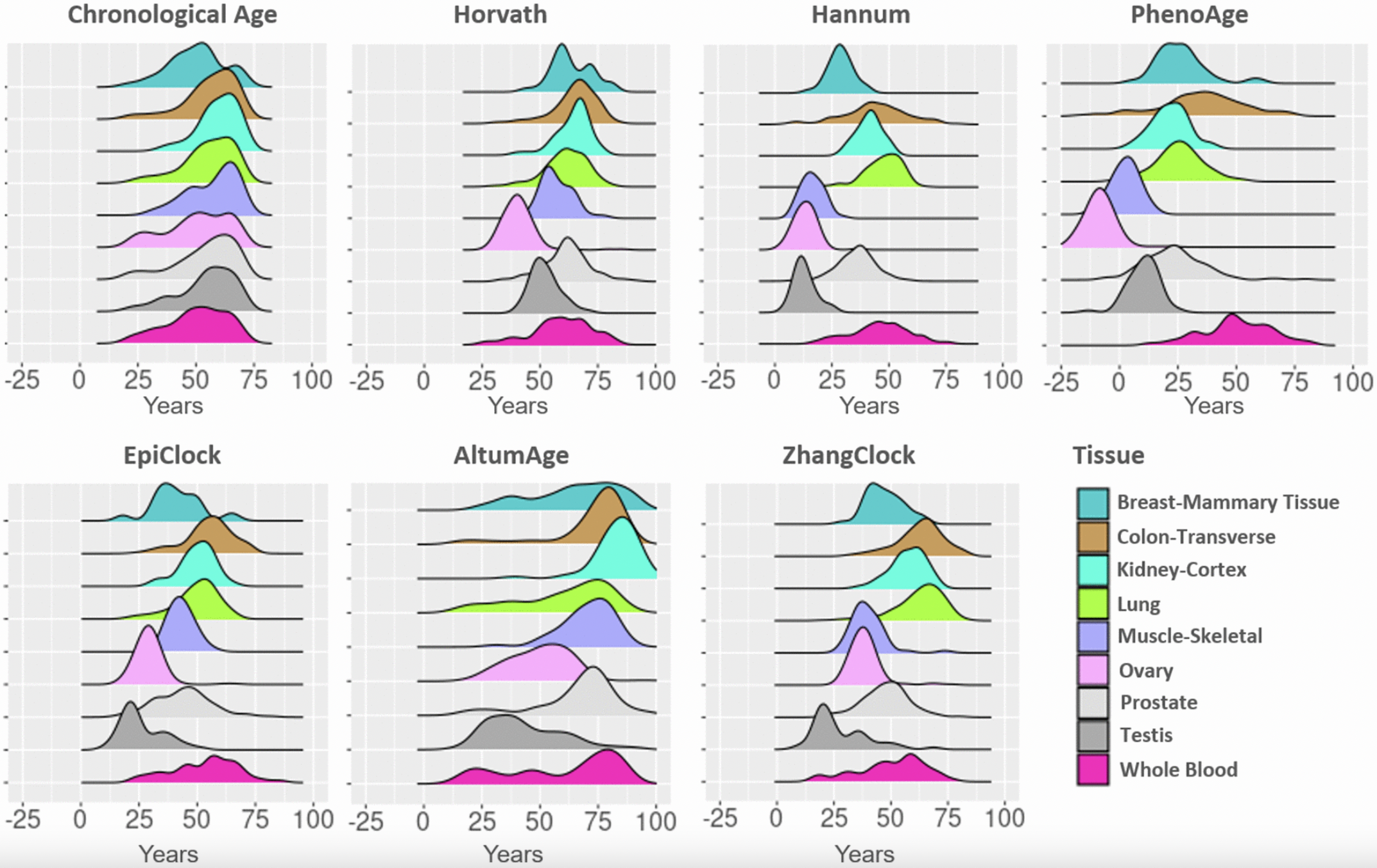 DNA Methylation Clocks May Require Tissue-Specific Adjustments for Accurate Aging Estimates