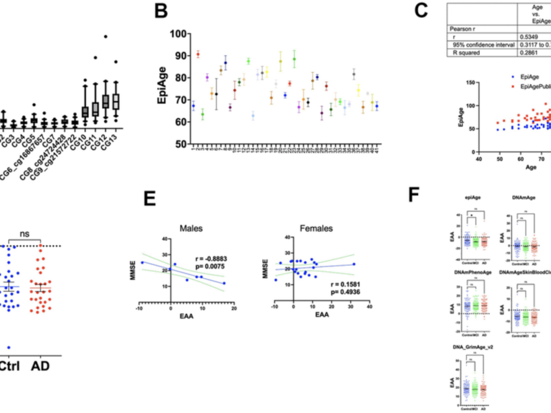 EpiAge: A New Test to Measure Biological Age Using Saliva or Blood