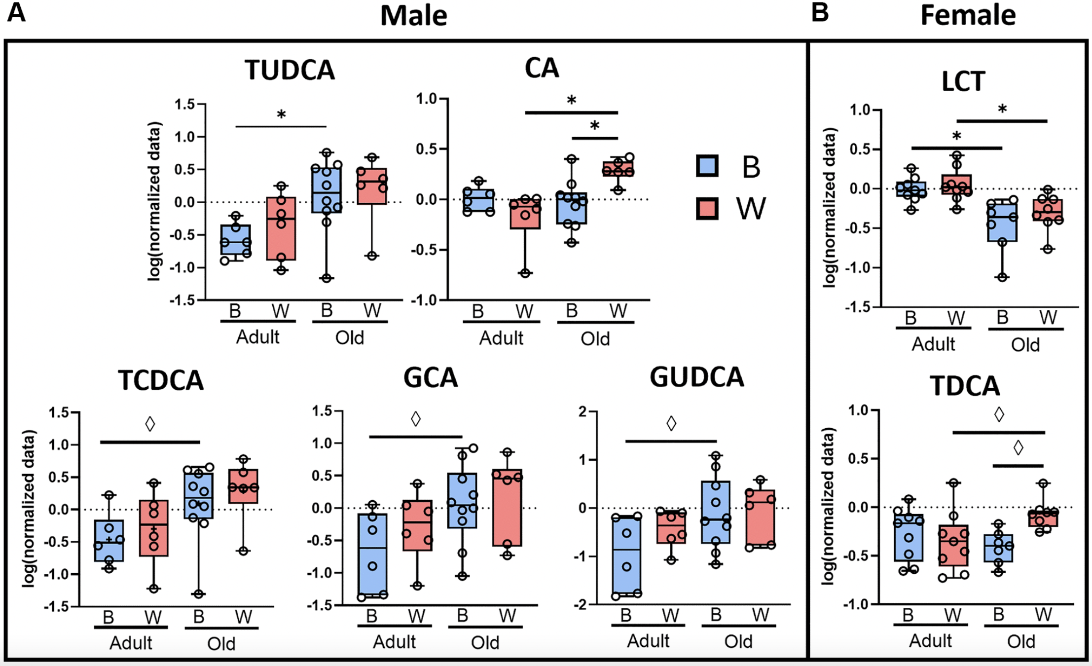 Influence of Age, Sex, and Mitochondrial Haplotype on Gut Microbiome in Rats