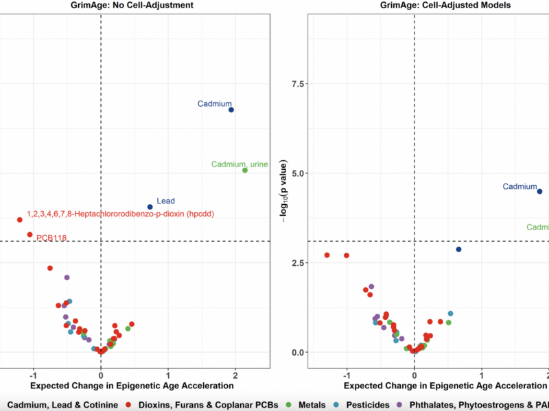 Toxic Environmental Pollutants Linked to Faster Aging and Health Risks in US Adults