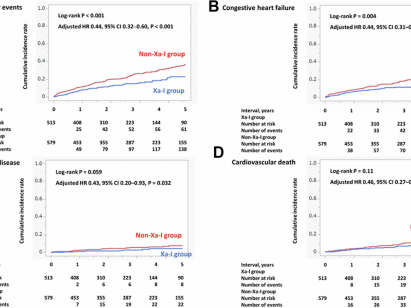 Blood Thinners Called Factor Xa Inhibitors Lower Heart Risk in Elderly with Atrial Fibrillation