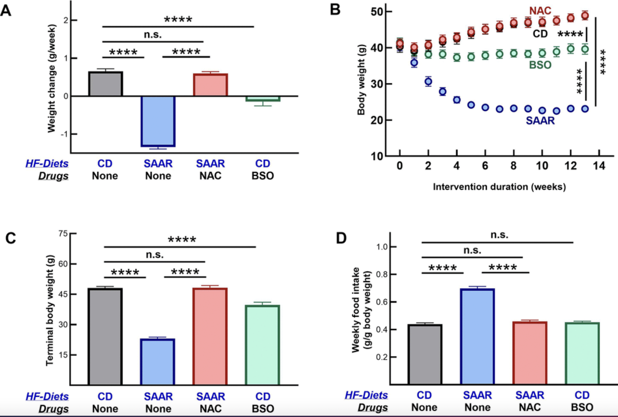 BSO Compound Mimics Diet-Induced Fat Loss Without Cutting Food Intake