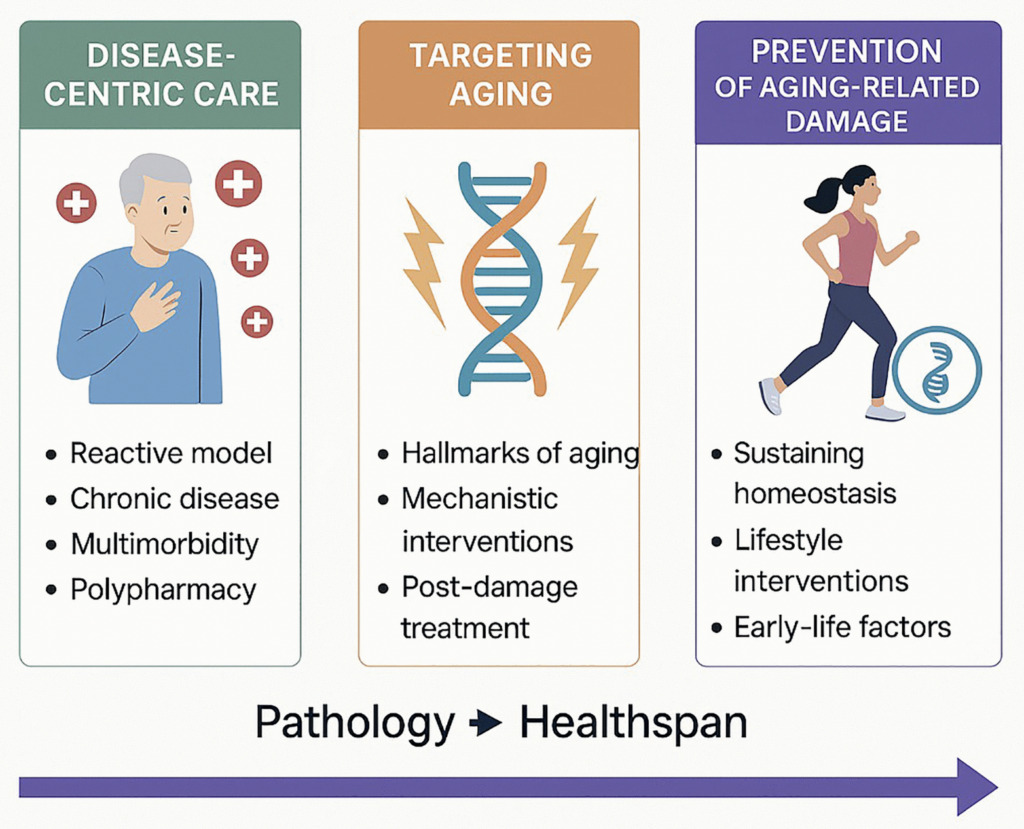 New Vision for Healthcare Focuses on Preventing Aging-Related Diseases