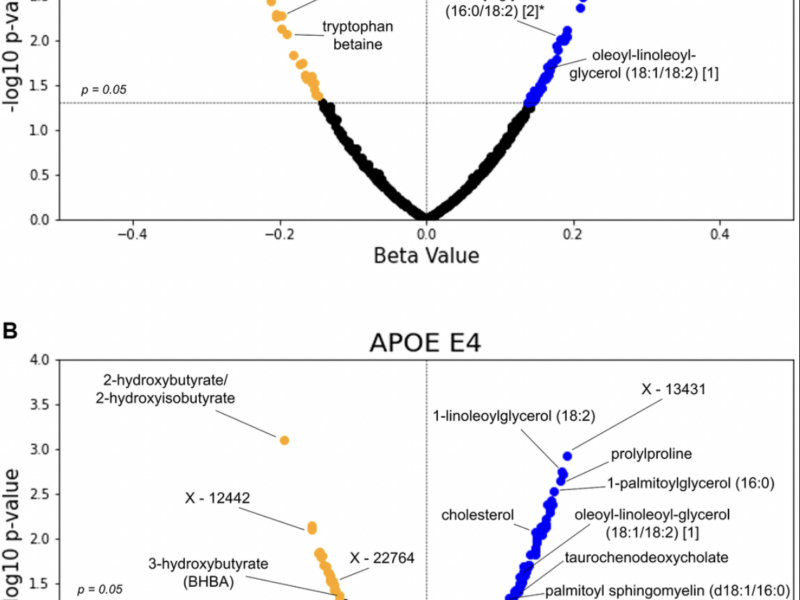 APOE Gene Variants Linked to Metabolic Signatures of Aging and Alzheimer's Risk