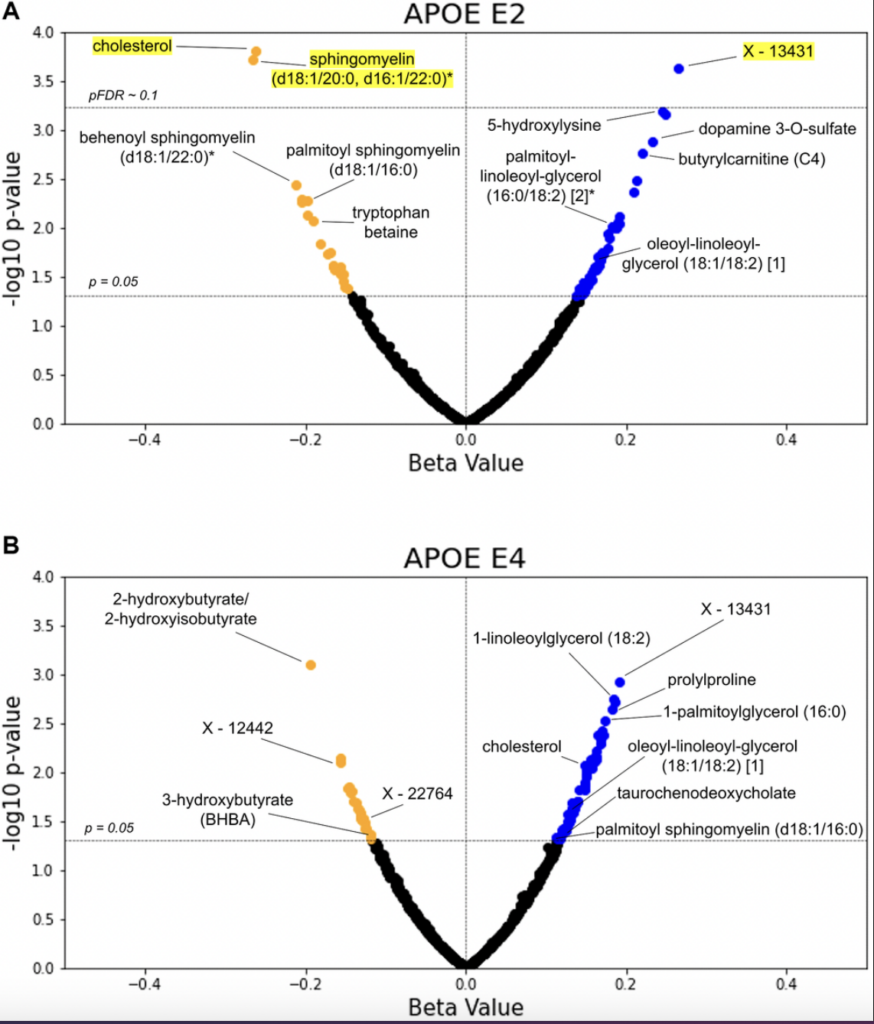 APOE Gene Variants Linked to Metabolic Signatures of Aging and Alzheimer's Risk