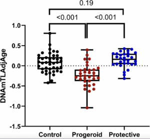 New Research Finds Telomere Shortening Not Consistent Across Premature Aging Disorders