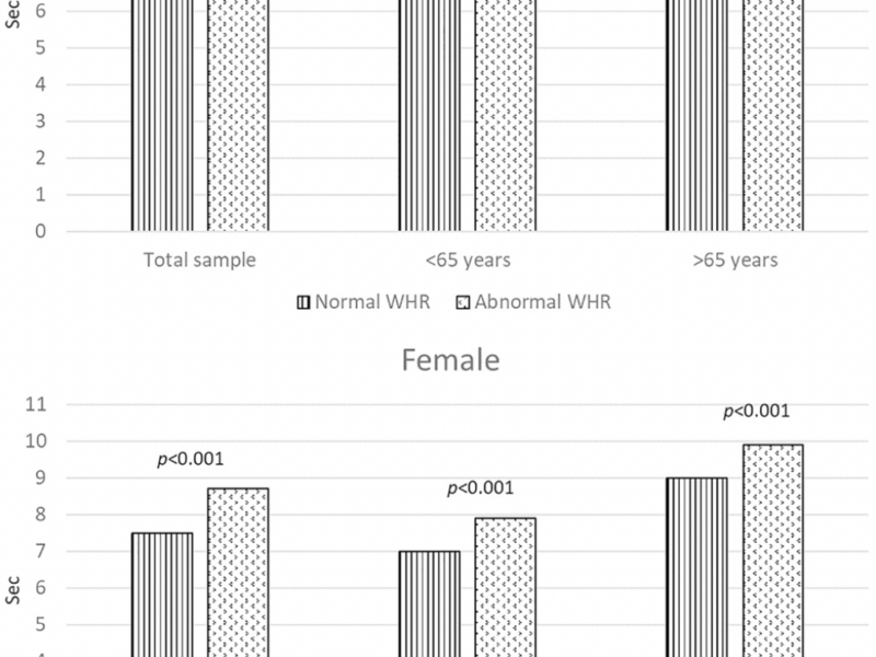 Impact of waist-to-hip and waist-to-height ratios on physical performance: insights from the Longevity Check-up 8+ project