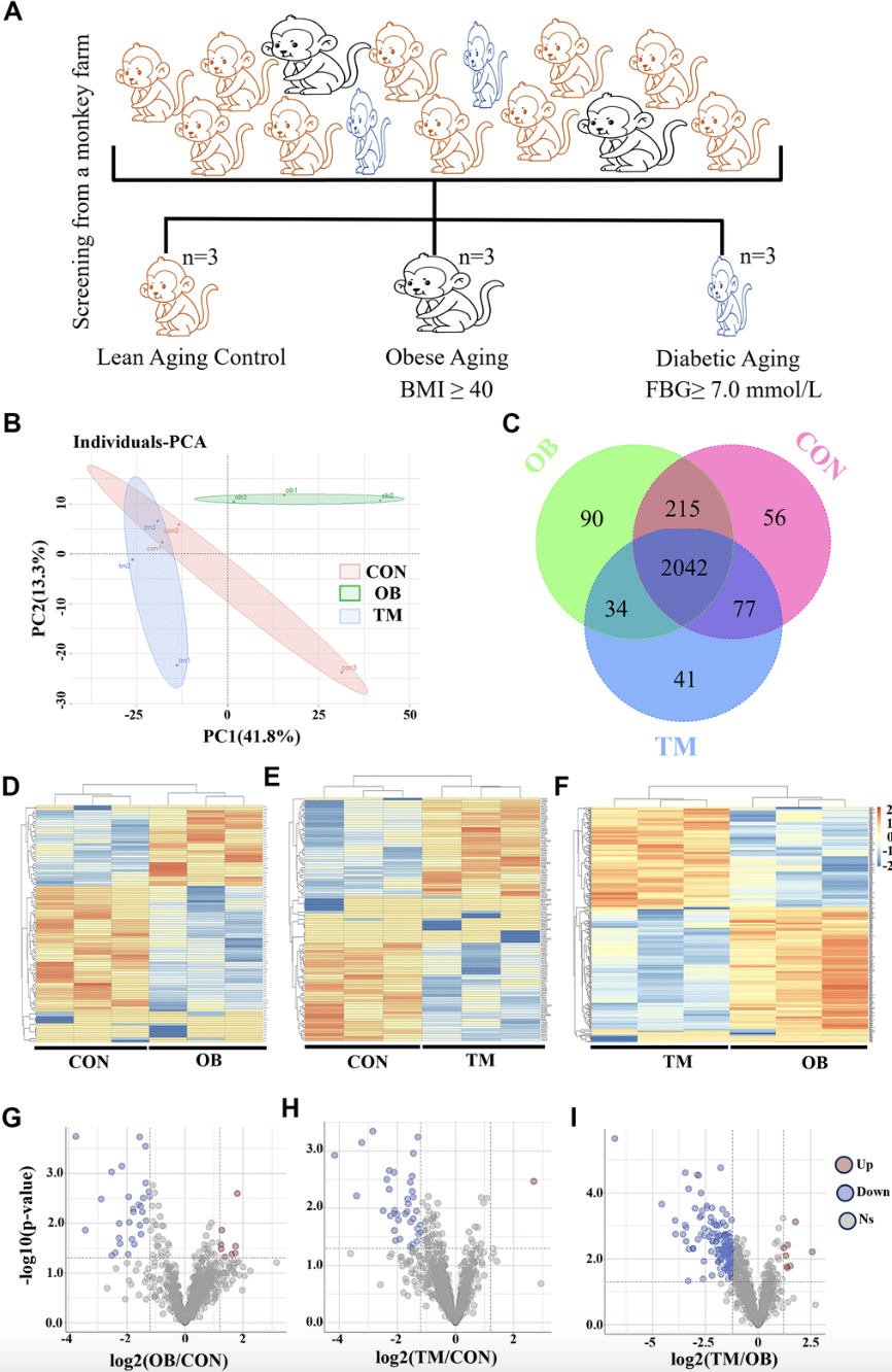 Multi-omics analysis reveals metabolic disruptions in cardiac tissues of aging nonhuman primates with spontaneous type 2 diabetes