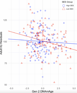 Study in Twins Links Childhood Environment to Epigenetic Aging and Cognitive Decline