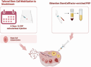 Stem Cell Treatment Shows Potential for Restoring Fertility in Women with Ovarian Failure