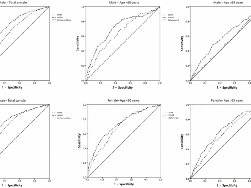 Abdominal Fat Linked to Reduced Strength and Mobility in Adults